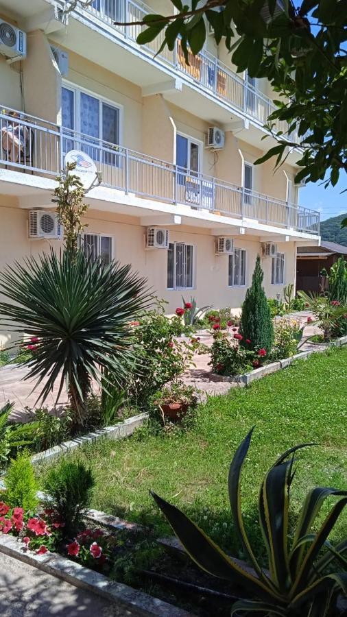 Dionisy Guest House Pizunda Ngoại thất bức ảnh